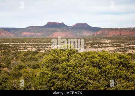 Bears Ears Buttes in the Bears Ears National Monument in southern Utah, United States Stock Photo