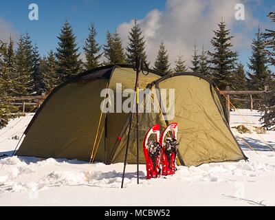Camping during winter hiking in mountains. Green touristic tent under spruces. Stock Photo