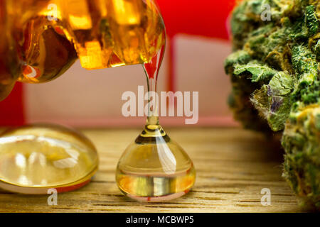 Macro flower cannabis and licking oil on the oak wood table with canadian flag on the background. Stock Photo