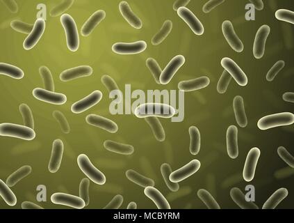Cocci bacteria cell realistic vector illustration Stock Vector Image ...