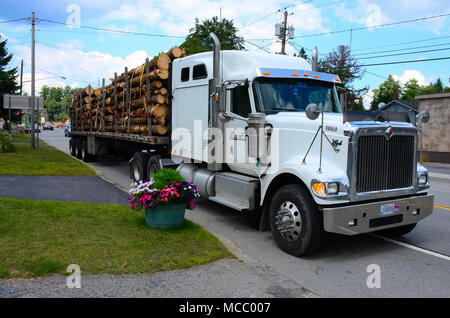 A Quebec Canada licensed tractor trailer, or lorry, loaded with logs parked in front of and blocking driveways in Speculator, NY USA Stock Photo