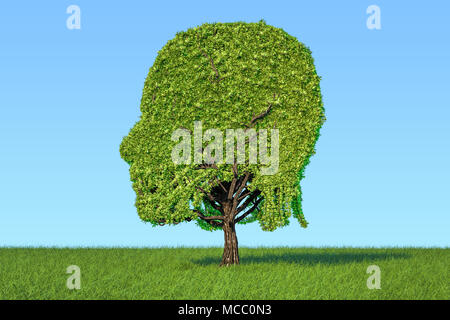 Human Tree Shape Human head shaped tree, 3D rendering isolated on white background Stock ...
