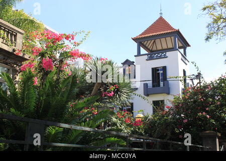 Balcony with Jungle of Plants Stock Photo: 127248966 - Alamy