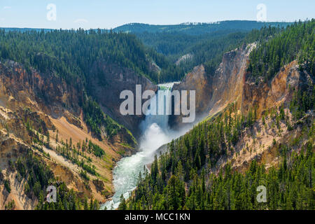 Landscape of the pine forest and Upper Yellowstone Falls inside Yellowstone national park on a sunny day in summer, Wyoming, USA. Stock Photo