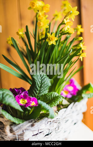 Closeup of a balcony box with colorful primroses in summer Stock Photo