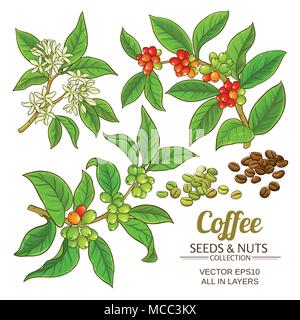 coffee branches vector set on white background Stock Vector