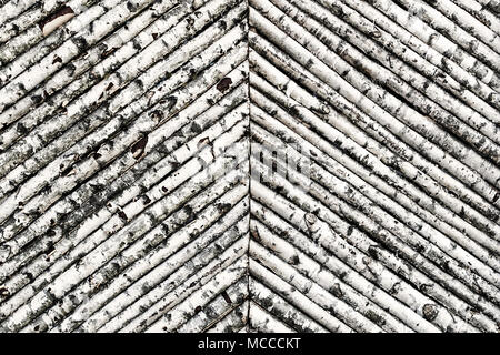 Fence made of young birch trees in black and white. Stock Photo