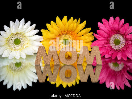 words Mom and wow in cork letters on black mirror reflection with colorful gerbera daisies Stock Photo