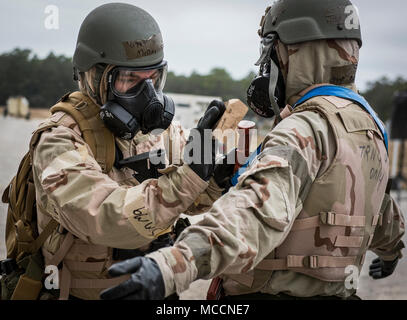 Airman 1st Class Austin McNay, 96th Communications Squadron, decontaminates a wingman during a chemical, biological, radiological, nuclear and explosive training exercise at Eglin Air Force Base, Fla., Feb. 1. The Airmen were taught the proper procedures during the week-long event before executing the tactics by themselves during the exercise. (U.S. Air Force photo/Samuel King Jr.) Stock Photo