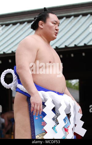 Tokyo Japan. 16th Apr, 2018. Hakuho, APRIL 16, 2018 - Sumo : Annual sumo tournament dedicated to the Yasukuni Shrine in Tokyo Japan. Credit: Sho Tamura/AFLO SPORT/Alamy Live News Stock Photo