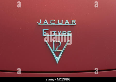 Jaguar E Type V12 Marque Stock Photo