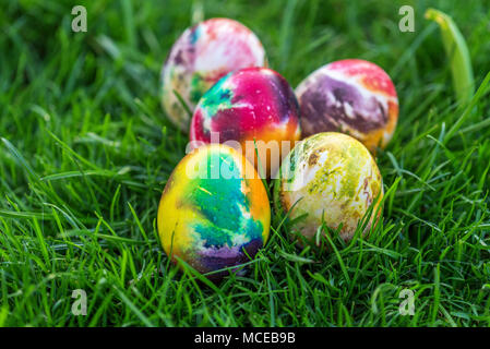 Traditionally painted Easter eggs hidden in grass. Stock Photo