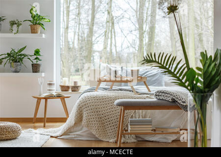 Plants on shelves and book on wooden table in cozy bedroom interior with bed against the window Stock Photo