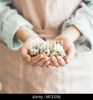 Quail eggs and feather in woman's hands for Easter Stock Photo