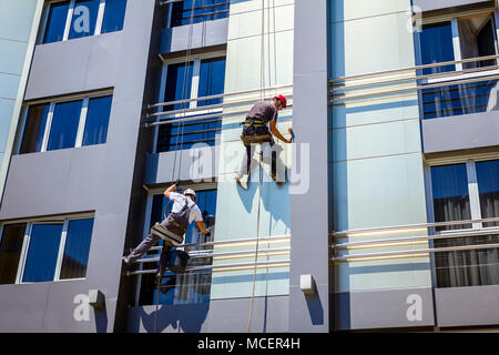 Two industrial climbers are washing, cleaning facade of a modern office building Stock Photo