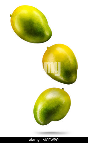 Falling mangoes fruit isolated on white background Stock Photo