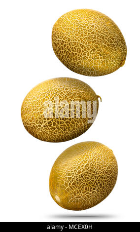 Falling golden melon isolated on white background Stock Photo