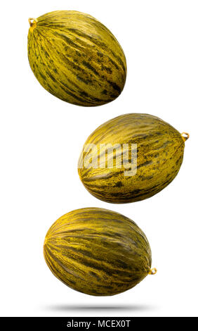 Falling golden melon isolated on white background Stock Photo
