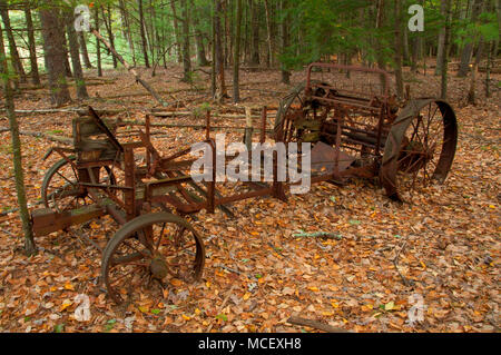 Abandoned farm artifact along North Trail, McLean Game Refuge, Connecticut Stock Photo