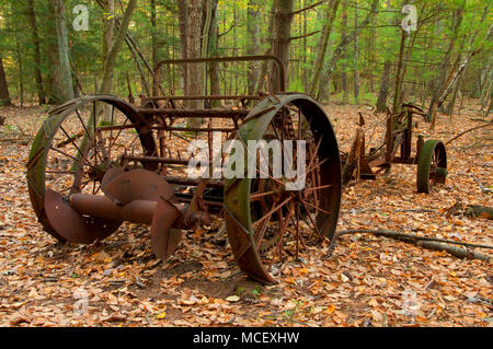 Abandoned farm artifact along North Trail, McLean Game Refuge, Connecticut Stock Photo