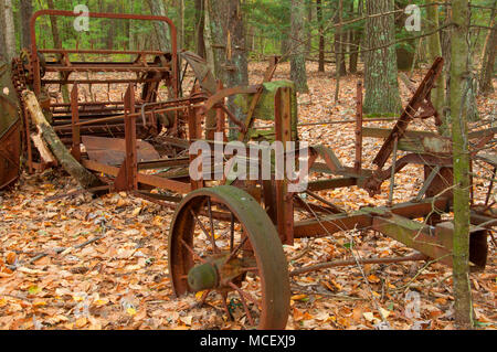 Abandoned farm artifact along North Trail, McLean Game Refuge, Connecticut Stock Photo