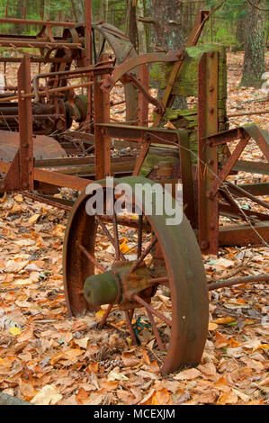 Abandoned farm artifact along North Trail, McLean Game Refuge, Connecticut Stock Photo