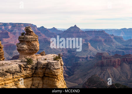 The Grand Canyon National Park, Arizona USA Stock Photo