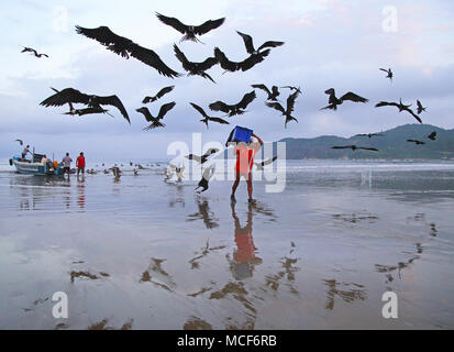 The fishing village Puerto Lopez at the Pacific Coast of Ecuador   Morning catch Stock Photo