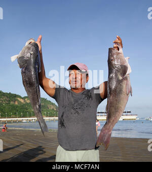 Fisherman at the fishing village Puerto Lopez at the Pacific Coast of Ecuador   Morning catch Stock Photo