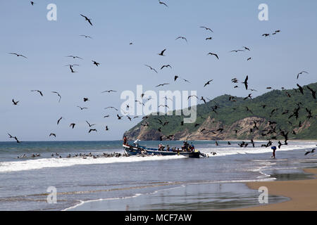 The fishing village Puerto Lopez at the Pacific Coast of Ecuador   Morning catch Stock Photo