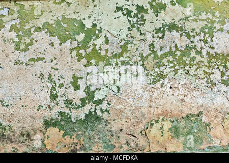 Green plaster wall Stock Photo