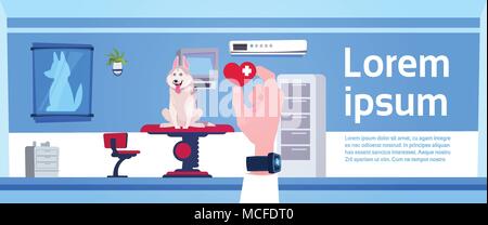 Veterinarian Doctor Hand Holding Pill Over Vet Clinic Office Interior Concept Flat Vector Illustration Stock Vector