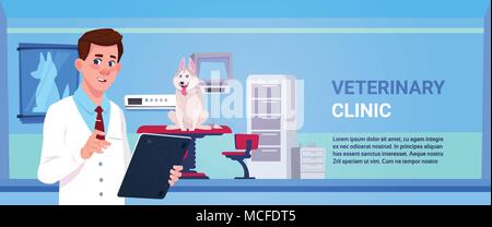 Veterinarian Doctor Examining Dog In Clinic Office Veterinary Medicine And Animal Care Concept Flat Vector Illustration Stock Vector