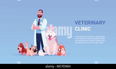 Veterinary Clinic Poster With Male Vet Doctor And Group Of Happy Dogs Over Copy Space Flat Vector Illustration Stock Vector