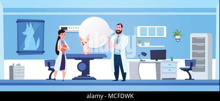 Vet Doctors Examining Dog In Clinic Office Veterinary Medicine Concept Flat Vector Illustration Stock Vector