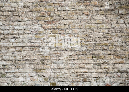 Grey brick wall Stock Photo