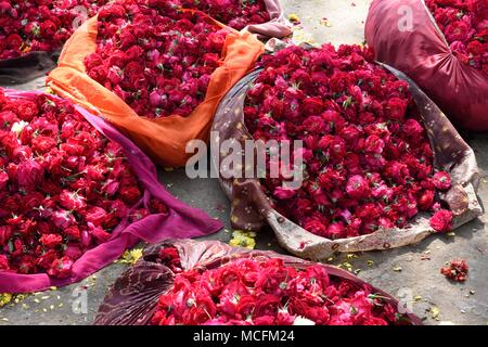 Bags of fresh red and pink roses for sale in Indian flower market in Jaipur, Rajasthan. Stock Photo