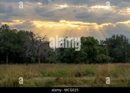 BEAUTIFUL SUN RAYS SHINING THROUGH CLOUDS OVER AFRICAN SAVANNA, ZAMBIA Stock Photo