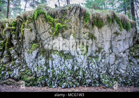 abstract rock structure near saut du doubs waterfall switzerland Stock Photo