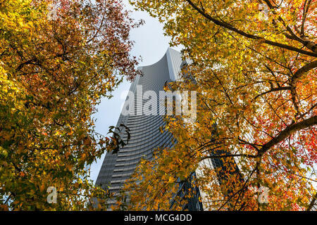 WA14311-00...WASHINGTON - The Columbis Center Building framed in fall color from trees along 4th Avenue. Stock Photo