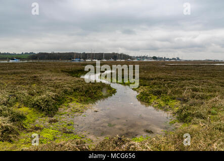 marshland on the banks of the river yar at Yarmouth on the isle of wight. muddy and mossy estuary of a tidal river and nature reserve with tidal water Stock Photo