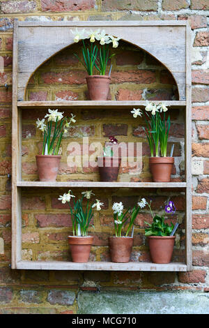 Garden pots, hanging plants, Stock Photo