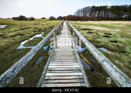 View of wooden footbridge leading to Aberlady Bay Nature Reserve on coast of Firth of Forth estuary in East Lothian, Scotland, UK Stock Photo