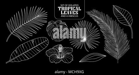 Set of isolated tropical leaves in 8 styles and a hibiscus. Vector illustration of botanical only white outline on black background. Stock Vector