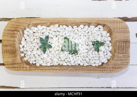 Succulents, white pepples and vintage table Stock Photo