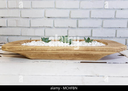 Succulents, white pepples and vintage table Stock Photo