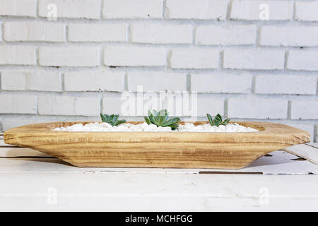 Succulents, white pepples and vintage table Stock Photo