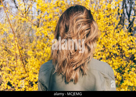 Rear view of the female hairstyle long wavy bob. Young woman stands against a yellow blooming spring bush, her hair shining in the sun. Stock Photo