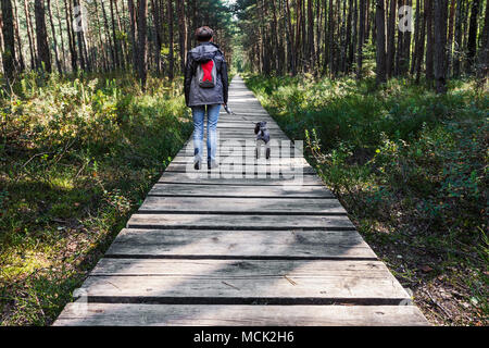 Woman walking dog on wooden pathway in the woods at summer day Stock Photo
