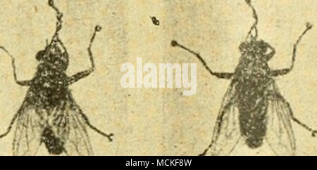 Ac C A Eeªc A a C A ca C e Ae C A11a A Ae C A Ci Stock Photo Alamy
